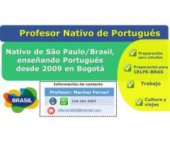 Profesor de portugués