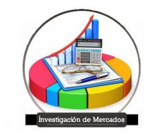 Asesoría Tesis de Grado, Plan de Negocios e Investigaciones académicas