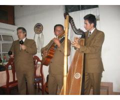 SERENATAS DE ALTA CALIDAD CON TRIO