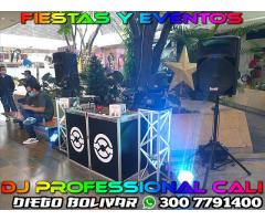 Alquiler Luces Djs Sonido Humo Laser Luz Neón Cali