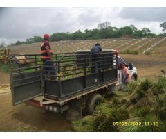 barreras vivas bolsacreto bioingenieria vetiver colombia