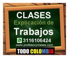 Profesor y clases particulares Contabilidad Finanzas Excel Estadística Medellin clases a domicilio