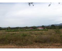 VENDO LOTE  UBICADO EN LA ULLOA MUNICIPIO DE RIVERA HUILA