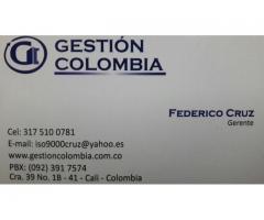 Asesores / Consultores