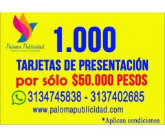 PALOMA PUBLICIDAD- AVISOS Y PENDONES ECONÓMICOS- ARMENIA -QUINDÍO