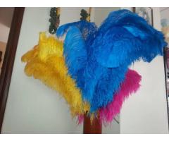 Pluma de avestruz para el Carnaval y la boda