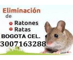 Ratas,ratones,roedores, control efectivo en Bogota tel 3007163288