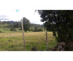 Guarne Lote de 200.000 M2  Institucional