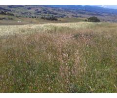 Finca en Toca (Boyacá) para cultivo