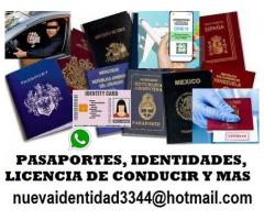 Pasaportes identidades pase cv19 licencia de conducir y mas