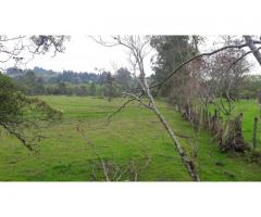 Lote Industrial Guarne Ant. 38.000 m2