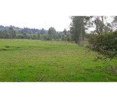 Lote Industrial Guarne Ant. 38.000 m2