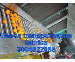 BANDA TRANSPORTADORA DE FRUTAS