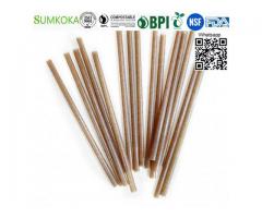 Bagasse drinking straw sugarcane straw