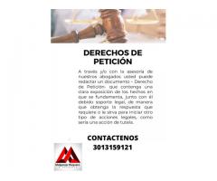 DERECHO DE PETICION