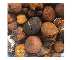 Buy cow /Ox Gallstone Available On Stock Now @ (WhatsApp: +237673528224)