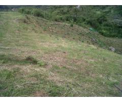 VENDO LOTE EN HATILLO - BARBOSA