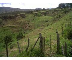 VENDO LOTE EN HATILLO - BARBOSA