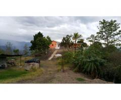 SE VENDE FINCA EN SAN JOAQUIN-LA MESA 3.5 FANEGADAS