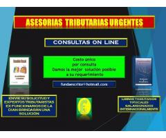 ASESORIAS TRIBUTARIAS ON INE