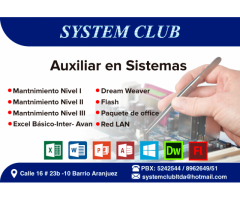 Auxiliar en Sistemas