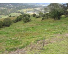 Se vende una finca de 7 Hectáreas tierra muy buena para cultivo y ganadería en Cucunuba Cundinamarca