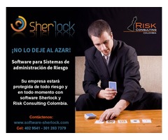 Software para sistemas de administración de riesgo – Sherlock