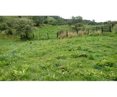 SE VENDE HERMOSA FINCA AGROGANADERA EN USME 21.5 FANEG.