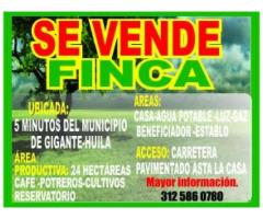 FINCA