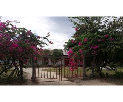 Vendo Finca Multiproposito en Natagaima-Tolima