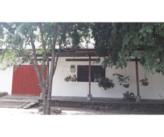 Vendo Finca Multiproposito en Natagaima-Tolima