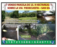 VENDO PROPIEDAD  13.9 HECTÁREAS SOBRE LA VÍA PIEDECUESTA -- SAN GIL.