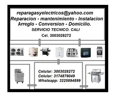 reparacion de calentadores en cali - cel.3003028272