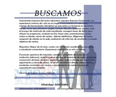 BUSCAMOS DIRECTORES Y ASESORES COMERCIALES