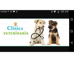 Busco veterinario en Cali 3155784121