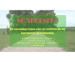 Se necesitan lotes con un minimo de 40 hectáreas