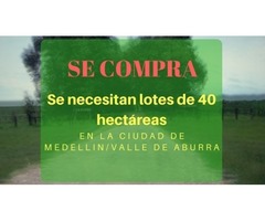 Se necesitan lotes de 40 hectáreas en Medellín/Valle de aburra