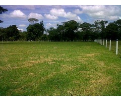 Se necesitan lotes de 40 hectáreas en Pereira
