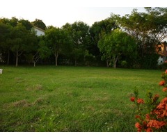 venta lote melgar 600m2 $111´000.000 tel:3002671970