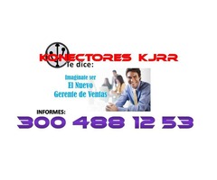 SE REQUIERE DIRECTOR DE VENTAS