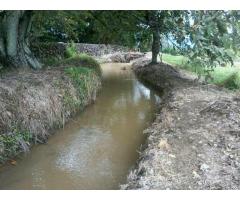 Finca Lerida Tol. 1.000 Hect Arrocera y Ganadera