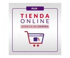 Pagina Web + Tienda Online + Vídeo + 3 Correos Google