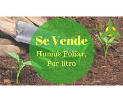 VENTA DE HUMUS FOLIAR PARA FERTILIZAR