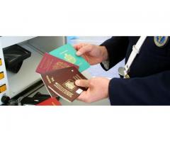 Comprar calidad Nembutal Pentobarbital,Pasaportes