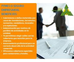 SEGURO PYMES O EMPRESARIAL ''HBG INVERSIONES''