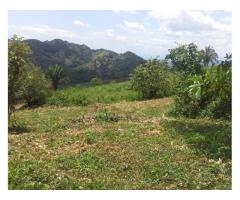 Se vende Finca en Viota Cundinamarca 12 fanegadas