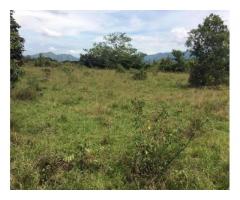 Se vende Finca en Viota Cundinamarca 12 fanegadas