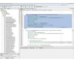 Codigo Fuente de Aplicacion WEB construida en Java EE Administrativa - Contable
